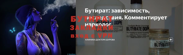 индика Аркадак