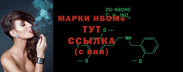 индика Аркадак