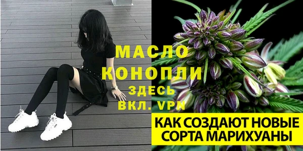 индика Аркадак