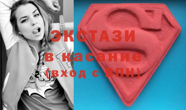 индика Аркадак