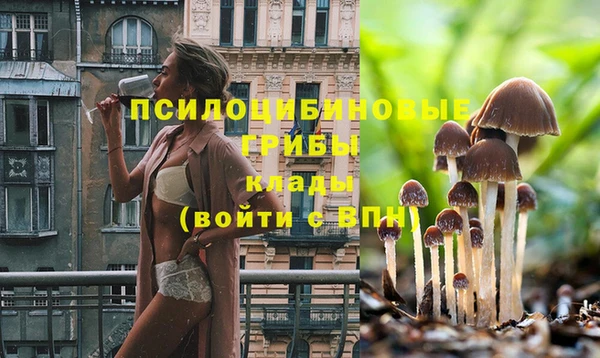 не бодяженный Арсеньев