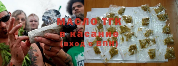 индика Аркадак